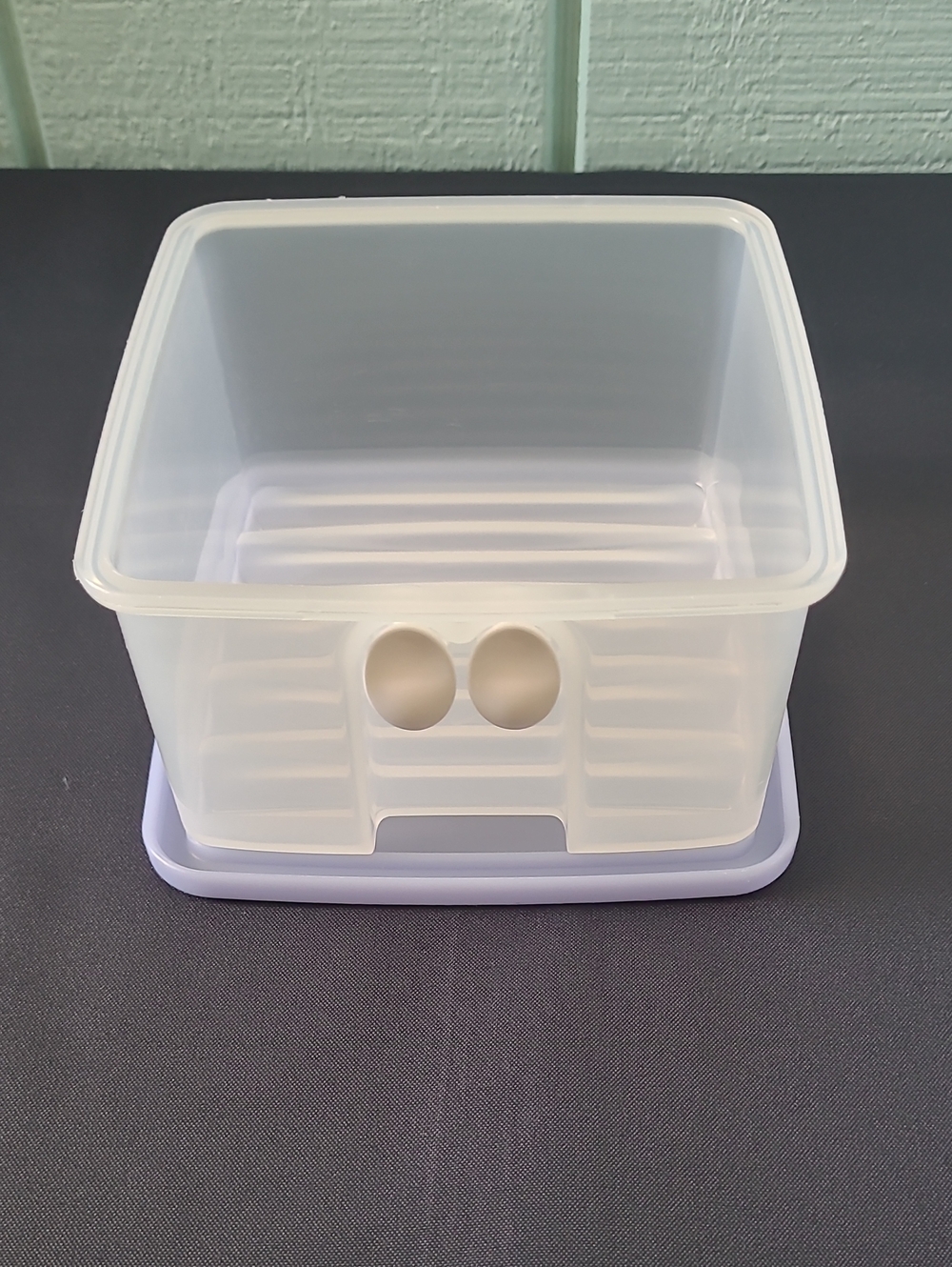 Tupperware Fridge Smart Retired Small Square - Berries Small Fruit 1 ltr - Picture 3 of 4